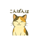ミケちゃんの日常 夏（個別スタンプ：3）