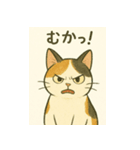 ミケちゃんの日常 夏（個別スタンプ：12）