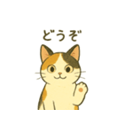 ミケちゃんの日常 夏（個別スタンプ：13）