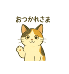 ミケちゃんの日常 夏（個別スタンプ：29）