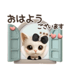 名前が入る♡愛猫♡猫ハンコ入り【3D】（個別スタンプ：13）