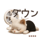 名前が入る♡愛猫♡猫ハンコ入り【3D】（個別スタンプ：25）