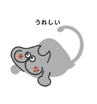 OSOUZAI OKUYA（おそうざい オクヤ）看板猫（個別スタンプ：13）