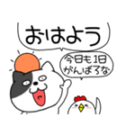 【毎日使える】吹き出しわるニャン10（個別スタンプ：1）
