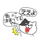【毎日使える】吹き出しわるニャン10（個別スタンプ：12）