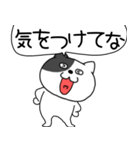 【毎日使える】吹き出しわるニャン10（個別スタンプ：36）
