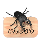 スマホの上のオオクワガタ4《関西弁》（個別スタンプ：13）