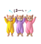 毎日使える ルームウェアねこ 日常（個別スタンプ：9）