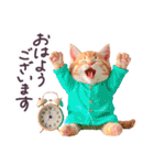 毎日使える ルームウェアねこ 日常（個別スタンプ：13）