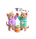 毎日使える ルームウェアねこ 日常（個別スタンプ：23）