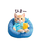 毎日使える ルームウェアねこ 日常（個別スタンプ：26）