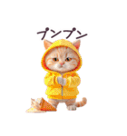 毎日使える ルームウェアねこ 日常（個別スタンプ：27）
