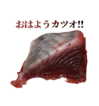 年中使える面白カツオ（個別スタンプ：1）