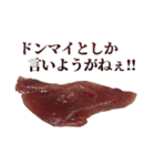 年中使える面白カツオ（個別スタンプ：11）