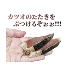 年中使える面白カツオ（個別スタンプ：24）