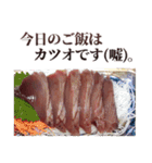 年中使える面白カツオ（個別スタンプ：32）