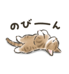 毎日ごろごろ☆猫たちのスタンプ（個別スタンプ：2）