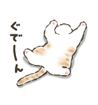 毎日ごろごろ☆猫たちのスタンプ（個別スタンプ：3）