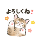 毎日ごろごろ☆猫たちのスタンプ（個別スタンプ：5）
