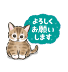 毎日ごろごろ☆猫たちのスタンプ（個別スタンプ：6）