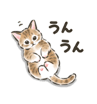 毎日ごろごろ☆猫たちのスタンプ（個別スタンプ：8）