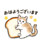 毎日ごろごろ☆猫たちのスタンプ（個別スタンプ：14）