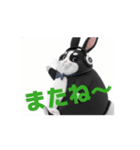 動くAkinopu#❶（個別スタンプ：15）