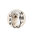 エマハルだぞー（個別スタンプ：1）