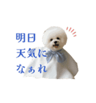 エマハルだぞー（個別スタンプ：5）