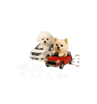 エマハルだぞー（個別スタンプ：6）