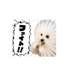 エマハルだぞー（個別スタンプ：10）