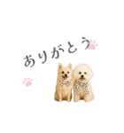 エマハルだぞー（個別スタンプ：12）