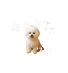 エマハルだぞー（個別スタンプ：13）