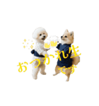 エマハルだぞー（個別スタンプ：14）