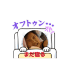 たかとのやつ⑤（個別スタンプ：1）