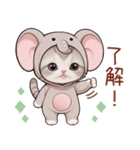スコティッシュ猫 かわいい象の着ぐるみ（個別スタンプ：5）
