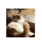 ねこねこにゃんこにゃんこ（個別スタンプ：5）