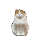 ねこねこにゃんこにゃんこ（個別スタンプ：7）