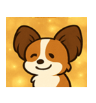 キラキラおすましパピヨン@SFW（個別スタンプ：21）