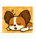 キラキラおすましパピヨン@SFW（個別スタンプ：25）