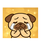 キラキラむすっとパグ@SFW（個別スタンプ：1）