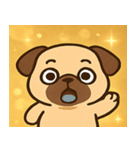 キラキラむすっとパグ@SFW（個別スタンプ：3）
