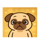 キラキラむすっとパグ@SFW（個別スタンプ：10）