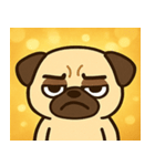 キラキラむすっとパグ@SFW（個別スタンプ：18）