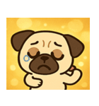 キラキラむすっとパグ@SFW（個別スタンプ：20）