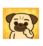 キラキラむすっとパグ@SFW（個別スタンプ：21）