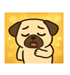 キラキラむすっとパグ@SFW（個別スタンプ：23）