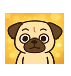 キラキラむすっとパグ@SFW（個別スタンプ：26）