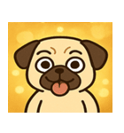 キラキラむすっとパグ@SFW（個別スタンプ：27）