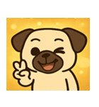 キラキラむすっとパグ@SFW（個別スタンプ：30）